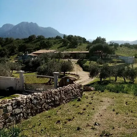 Bed & Breakfast Sa Mendula *
