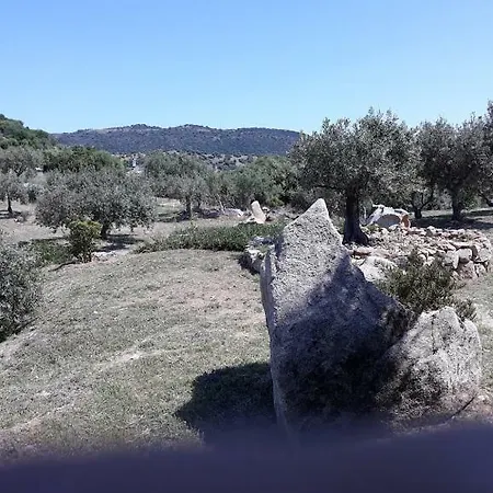 Sa Mendula Oliena