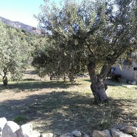 Sa Mendula *