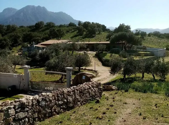 Bed & Breakfast Sa Mendula *