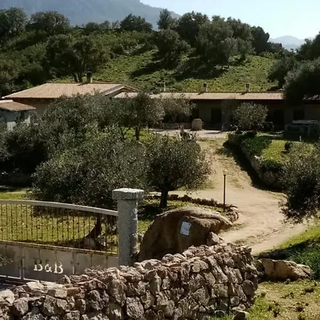Sa Mendula Bed and breakfast Oliena