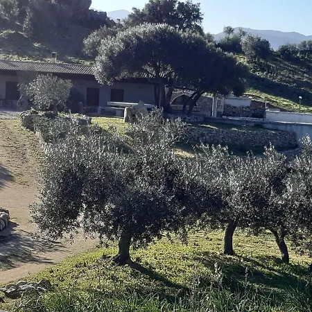 Sa Mendula